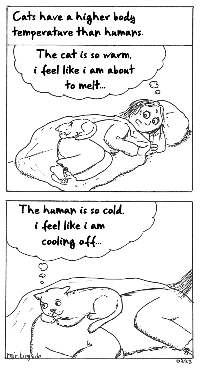 Text: Cats have a higher body temperature than humans.
Panel 1:
A woman is lying in bed on her side, a cat lies on top of her, under the covers. The woman is sweating.
Woman (thinking): The cat is so warm, i feel like i am about to melt...
Panel 2:
Cropping closer to the cat
Cat (thinking): The human is so cold, i feel like i am cooling off...